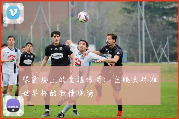 绿茵场上的直播传奇：当镜头对准世界杯的激情现场