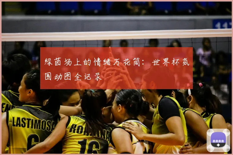 绿茵场上的情绪万花筒：世界杯氛围动图全记录