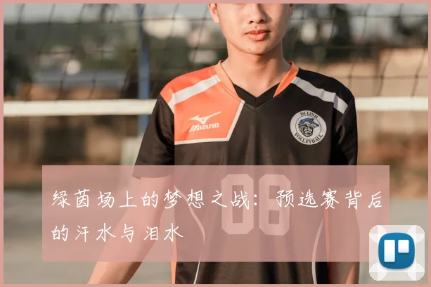 绿茵场上的梦想之战：预选赛背后的汗水与泪水