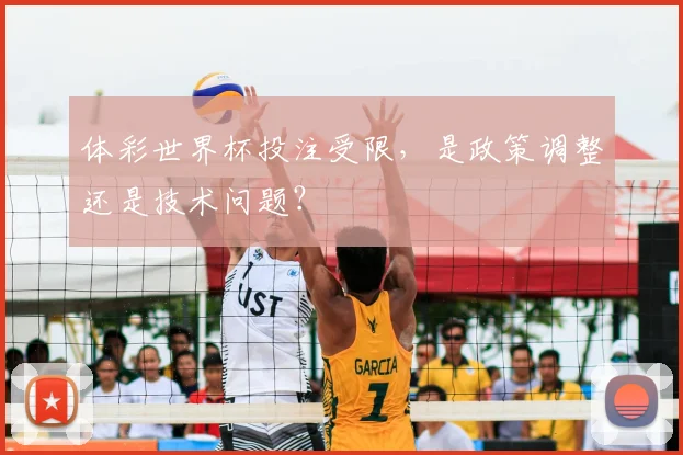 体彩世界杯投注受限，是政策调整还是技术问题？