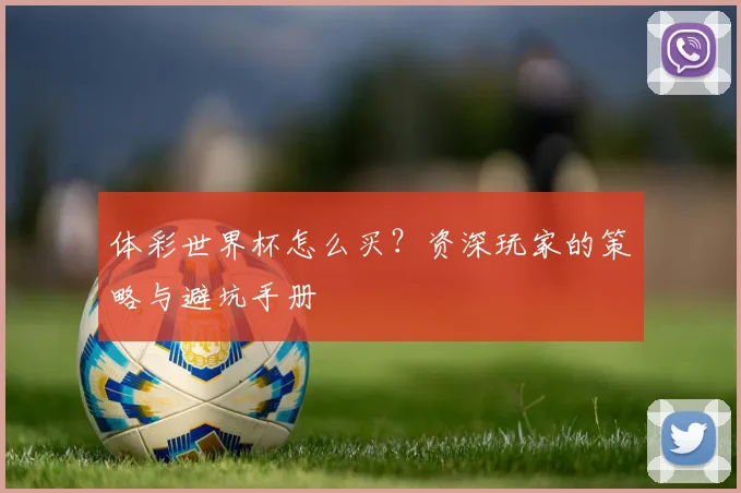 体彩世界杯怎么买？资深玩家的策略与避坑手册