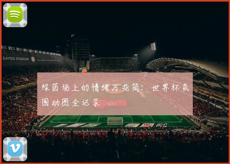 绿茵场上的情绪万花筒：世界杯氛围动图全记录